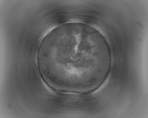 X0000113601137200909181346