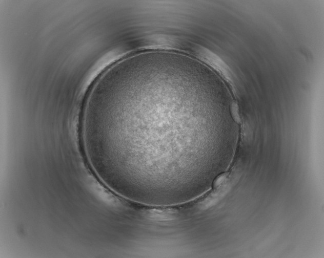 X0000113601138200909181346