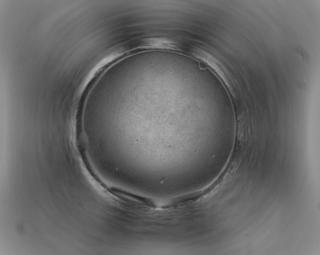 X0000113601139200909181346