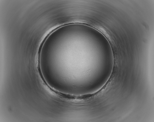 X0000113601140200909181346