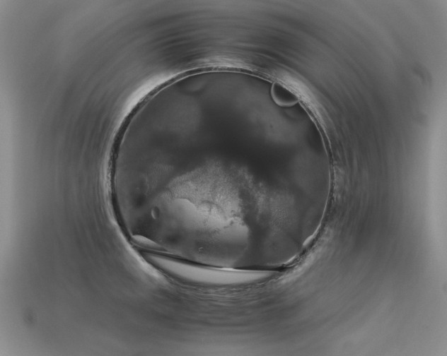 X0000113601141200909181346