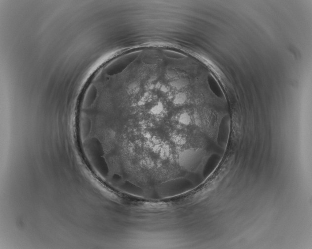 X0000113601142200909181346