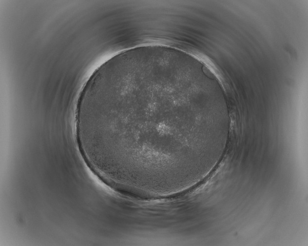 X0000113601143200909181346