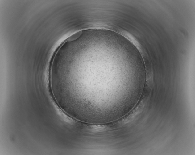 X0000113601144200909181346