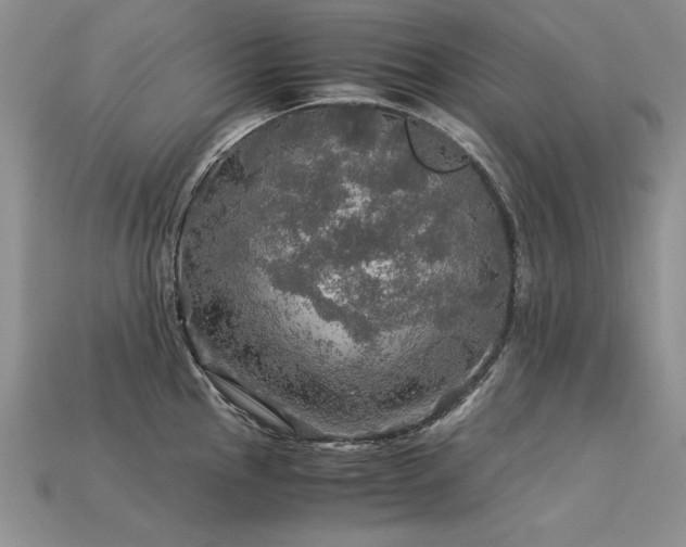 X0000113601145200909181346