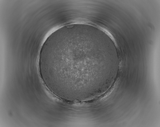 X0000113601146200909181346