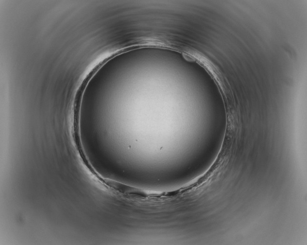 X0000113601147200909181346