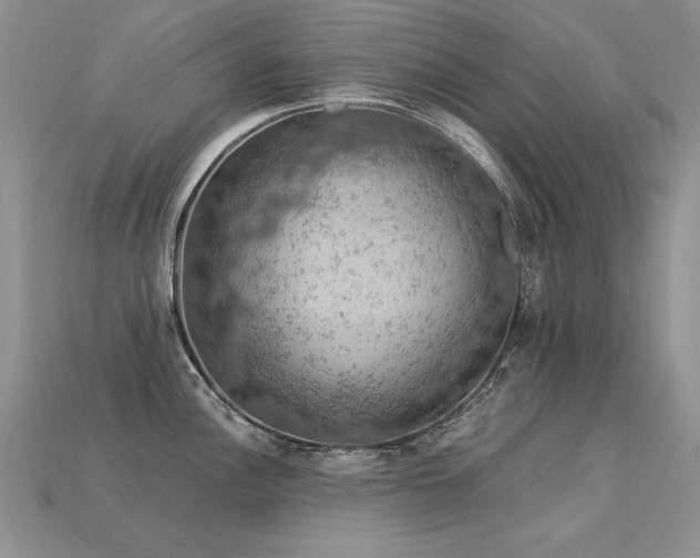 X0000113601148200909181346