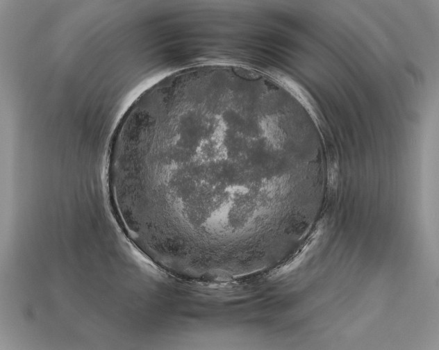 X0000113601149200909181346