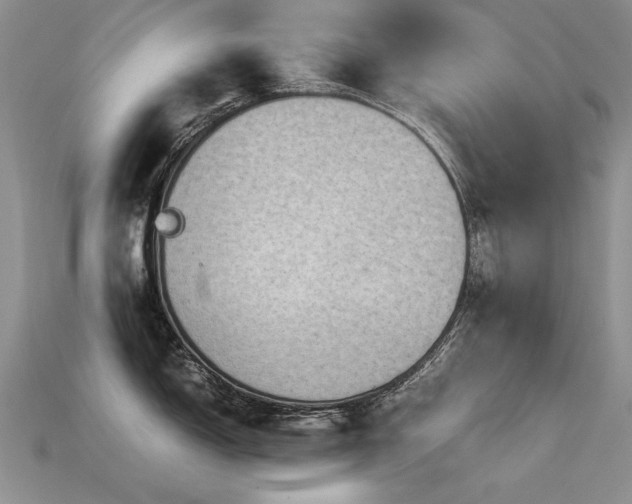 X0000113601150200909181346