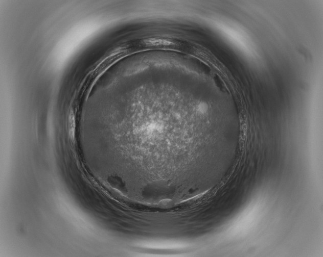 X0000113601151200909181346