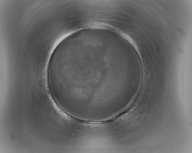 X0000113601152200909181346