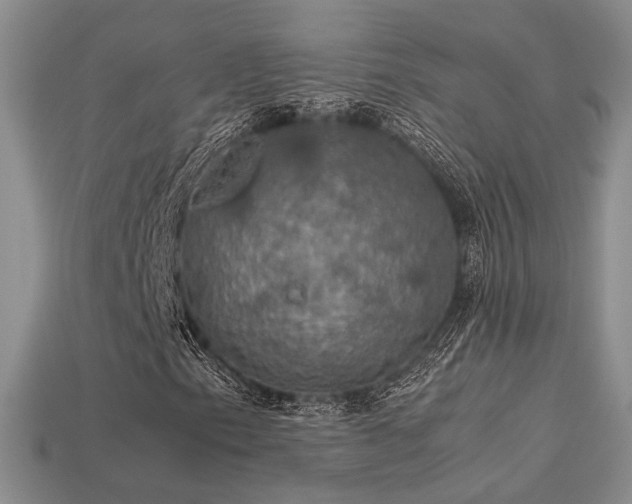 X0000113601153200909181346