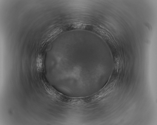 X0000113601154200909181346