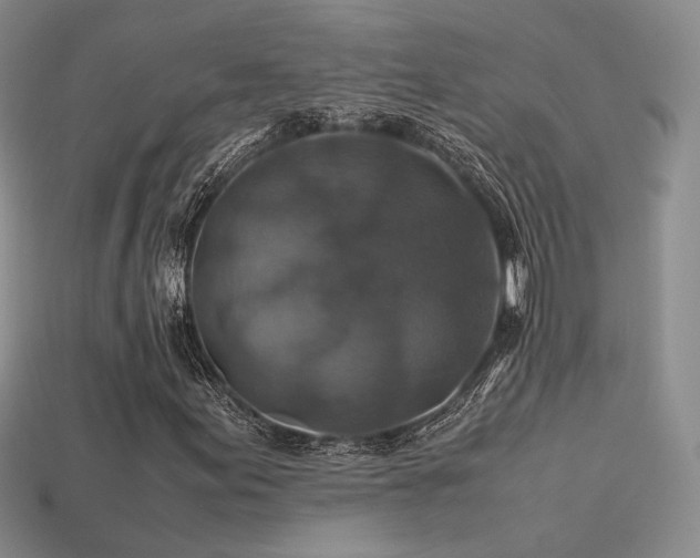 X0000113601155200909181346