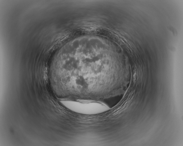 X0000113601156200909181346