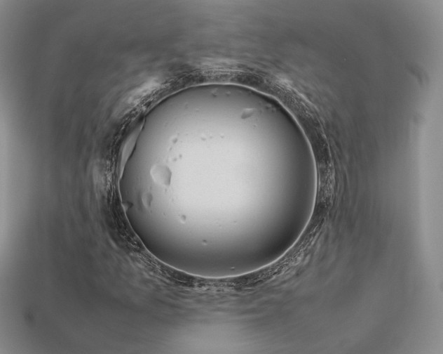 X0000113601157200909181346