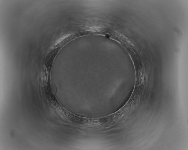 X0000113601158200909181346