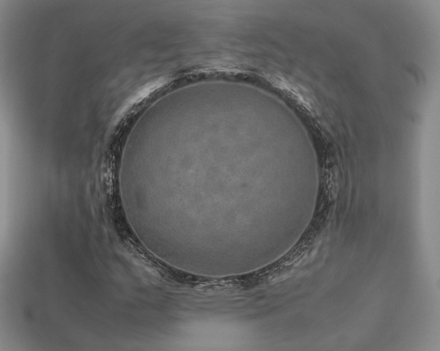 X0000113601159200909181346