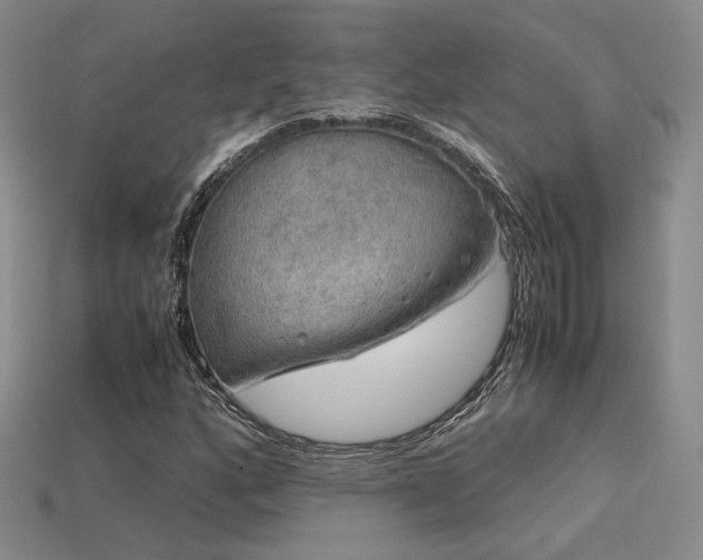 X0000113601160200909181346