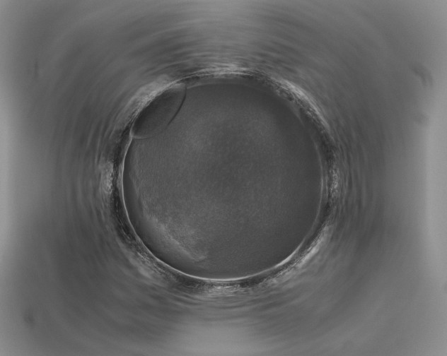 X0000113601161200909181346