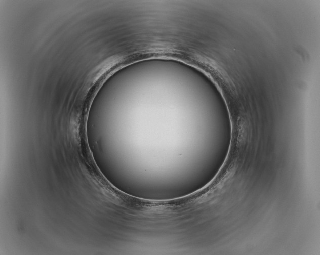 X0000113601162200909181346