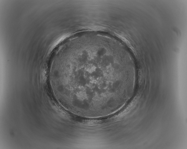 X0000113601163200909181346