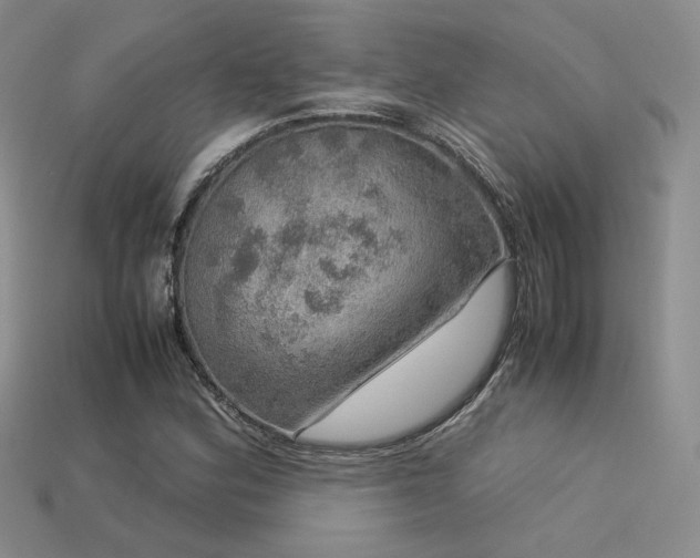 X0000113601164200909181346