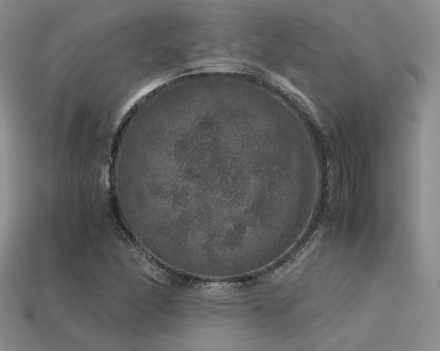 X0000113601166200909181346