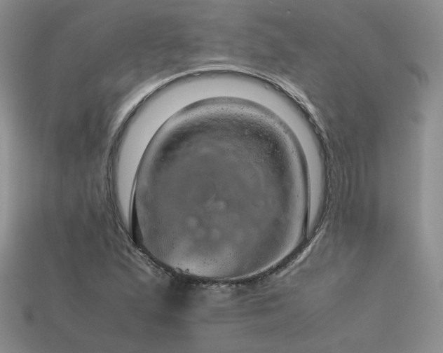 X0000113601167200909181346