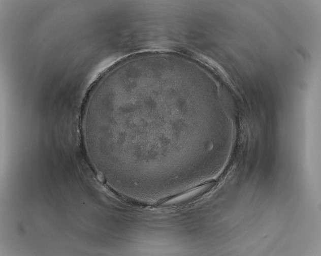 X0000113601168200909181346