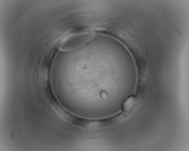 X0000113601169200909181346