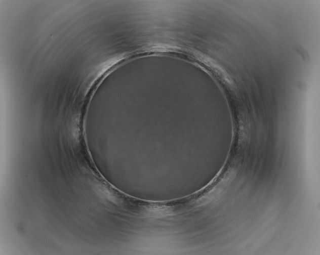 X0000113601170200909181346