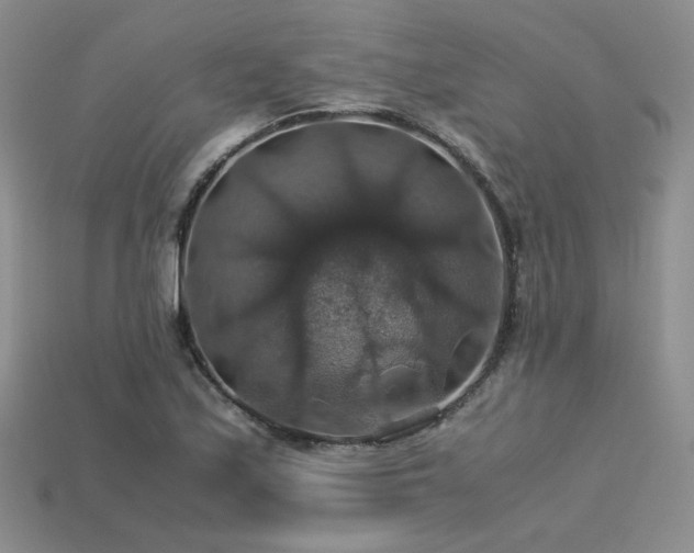 X0000113601171200909181346