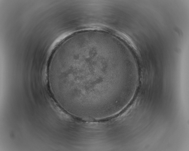 X0000113601172200909181346