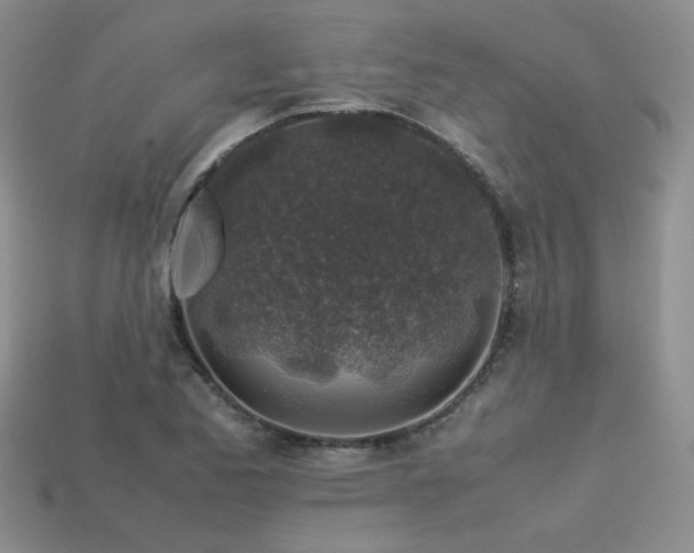 X0000113601173200909181346