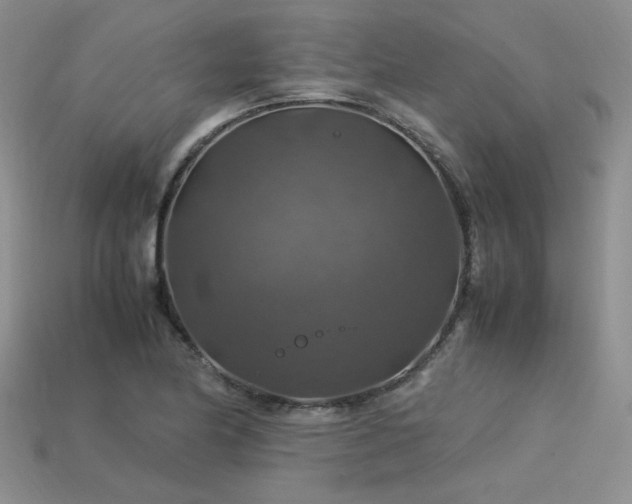 X0000113601174200909181346