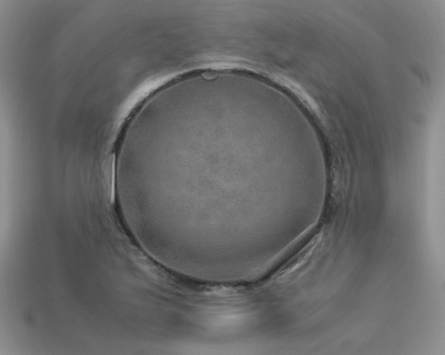 X0000113601175200909181346