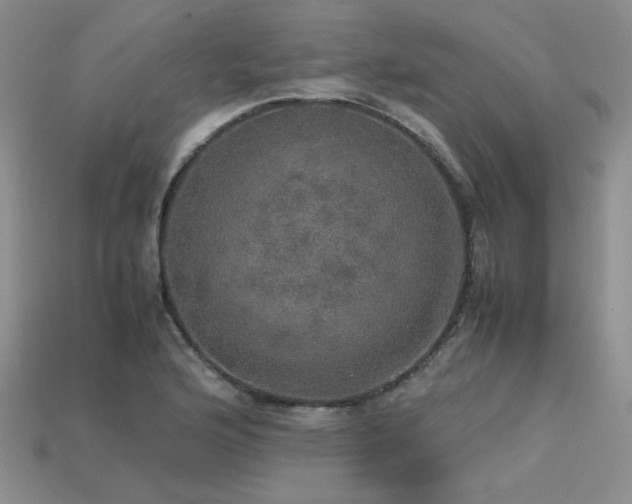 X0000113601176200909181346