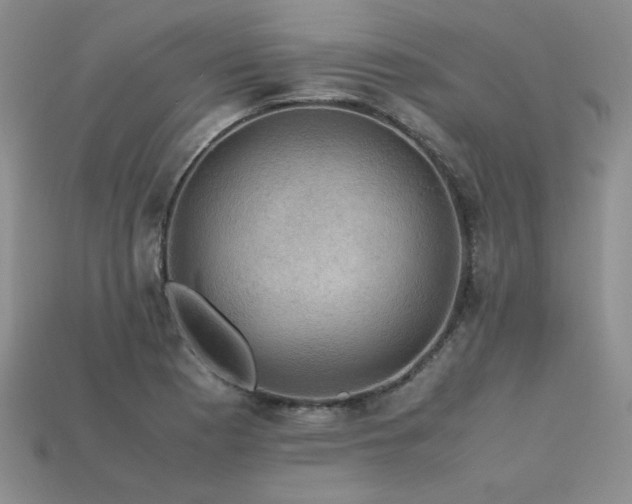 X0000113601177200909181346