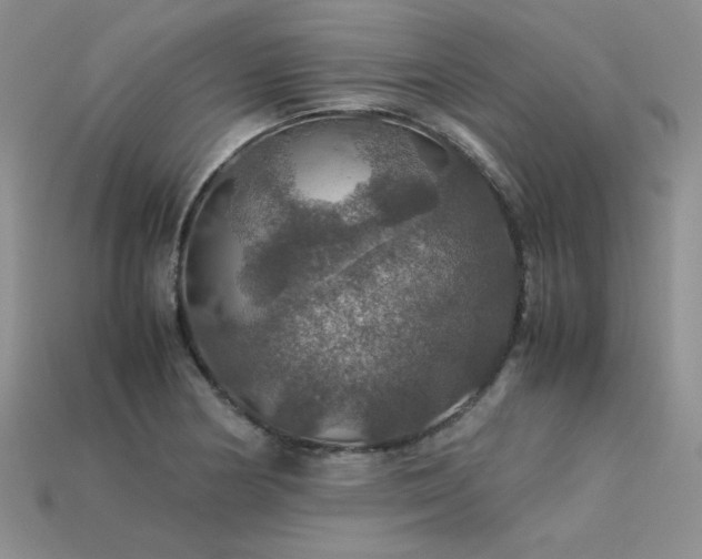 X0000113601178200909181346