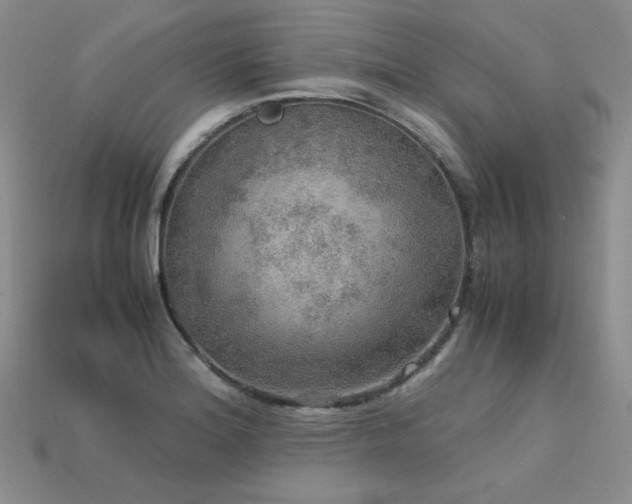 X0000113601180200909181346