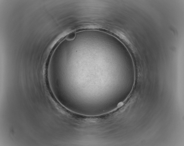 X0000113601181200909181346