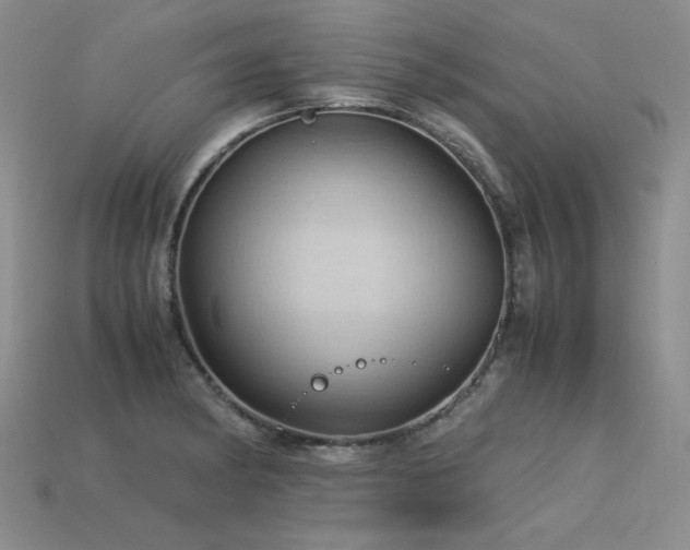 X0000113601182200909181346