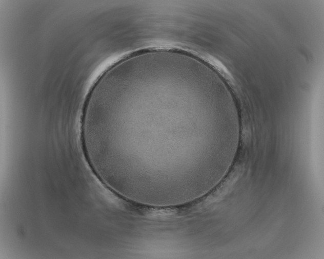 X0000113601183200909181345