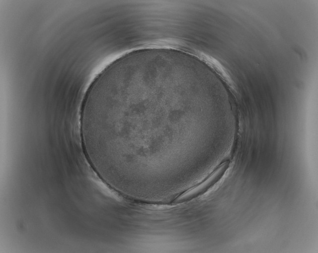 X0000113601184200909181345