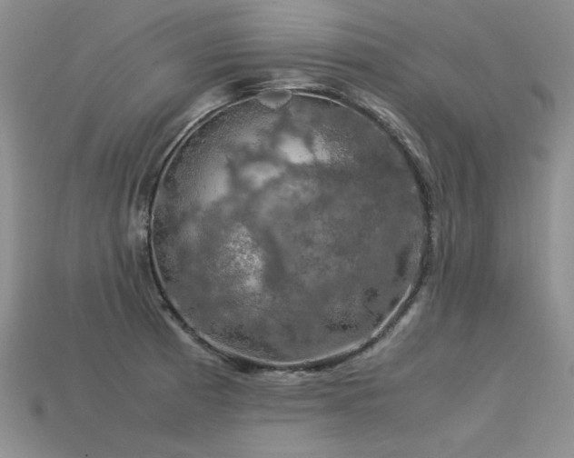 X0000113601185200909181345