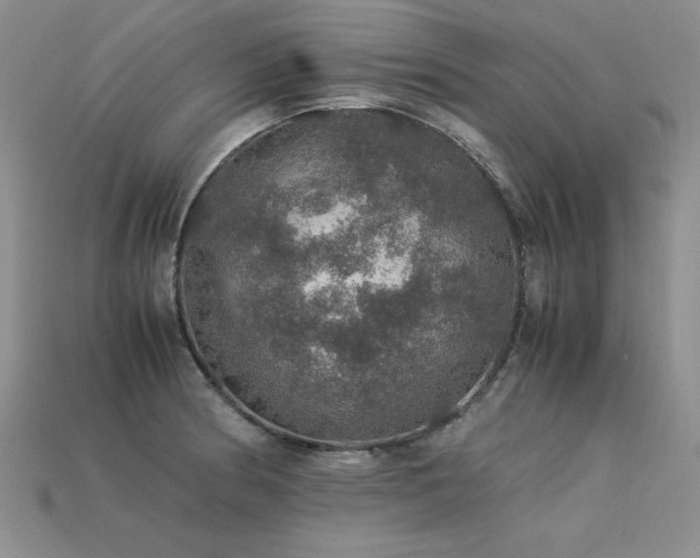 X0000113601186200909181345