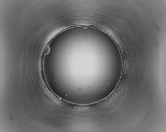 X0000113601187200909181345