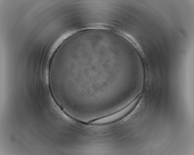 X0000113601188200909181345